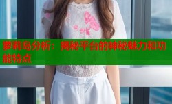 萝莉岛分析：揭秘平台的神秘魅力和功能特点