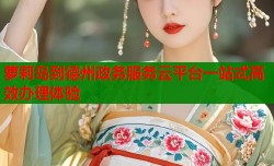 萝莉岛到德州政务服务云平台一站式高效办理体验