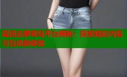 尾田去萝莉岛平台揭秘：探索精彩内容与互动新体验