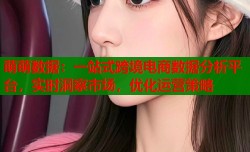 萌萌数据：一站式跨境电商数据分析平台，实时洞察市场，优化运营策略