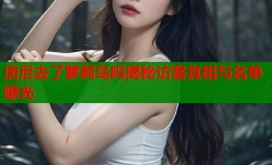 唐尼去了萝莉岛吗揭秘访客真相与名单曝光