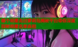 哪个明星去过萝莉岛揭秘平台带你深度探秘明星名单真相
