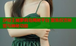 沙特王储萝莉岛揭秘平台 聚焦权贵秘密与神秘功能