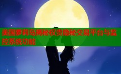 美国萝莉岛揭秘权贵隐秘交易平台与监控系统功能