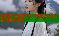 美国萝莉岛救援平台：快速响应与智能协作的安全保障