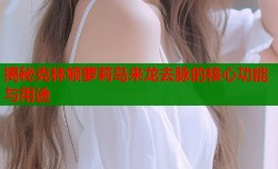 揭秘克林顿萝莉岛来龙去脉的核心功能与用途
