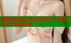 美国萝莉岛怎么去全攻略平台，揭秘访问方式与独家功能
