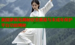 美国萝莉岛揭秘权贵黑幕与未成年保护平台功能揭秘