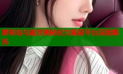 萝莉岛与盖茨揭秘权力黑幕平台深度曝光