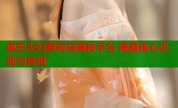 奥巴夫妇萝莉岛揭秘平台 揭露核心功能与真相