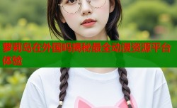 萝莉岛在外国吗揭秘最全动漫资源平台体验