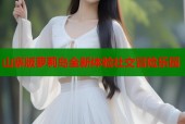 山寨版萝莉岛全新体验社交冒险乐园