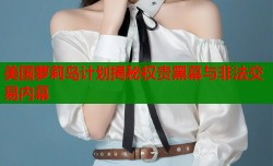 美国萝莉岛计划揭秘权贵黑幕与非法交易内幕