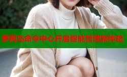 萝莉岛命令中心开启智能管理新体验
