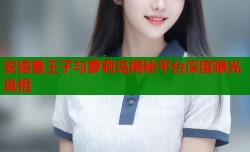 安德鲁王子与萝莉岛揭秘平台深度曝光真相