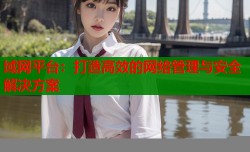域网平台：打造高效的网络管理与安全解决方案