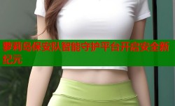 萝莉岛保安队智能守护平台开启安全新纪元
