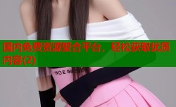 国内免费资源聚合平台，轻松获取优质内容(2)
