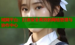 域网平台：打造安全高效的网络管理与协作中心
