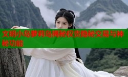 文明小岛萝莉岛揭秘权贵隐秘交易与神秘功能