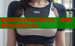 国金萝莉岛权贵密会揭秘平台，深度揭露秘密内幕吸引关注