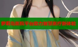 萝莉岛医院平台助力智慧医疗新体验