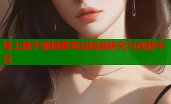 肾上腺干细胞萝莉岛精准研究与创新平台