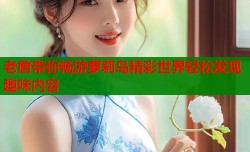 老詹带你畅游萝莉岛精彩世界轻松发现趣味内容