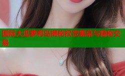 国际大瓜萝莉岛揭秘权贵黑幕与隐秘交易