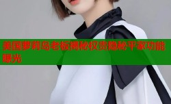 美国萝莉岛老板揭秘权贵隐秘平家功能曝光