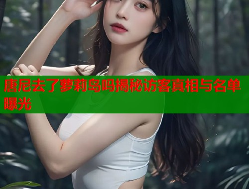 唐尼去了萝莉岛吗揭秘访客真相与名单曝光  第1张