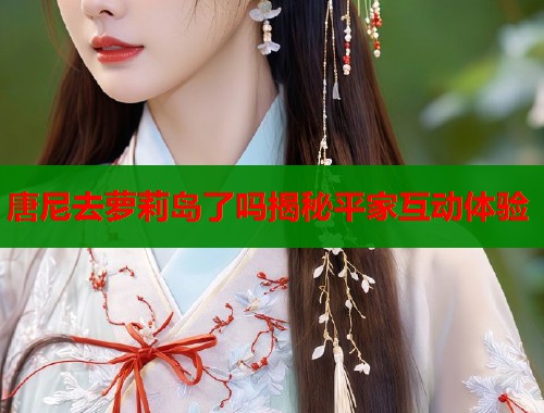 唐尼去萝莉岛了吗揭秘平家互动体验  第1张