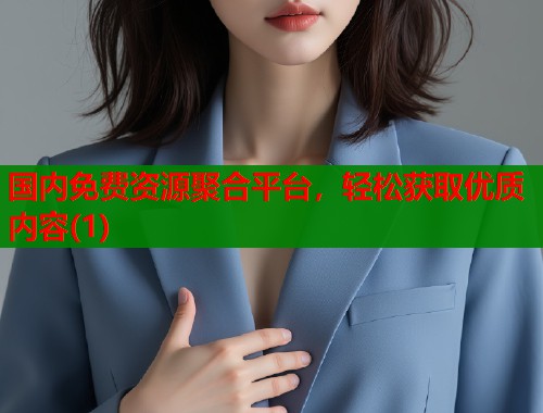 国内免费资源聚合平台，轻松获取优质内容(1)  第1张
