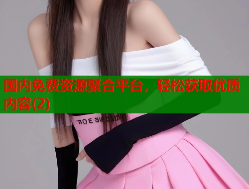 国内免费资源聚合平台，轻松获取优质内容(2)  第1张
