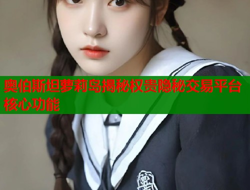 奥伯斯坦萝莉岛揭秘权贵隐秘交易平台核心功能  第1张