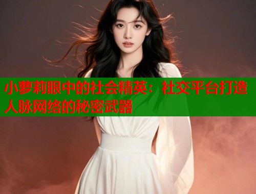 小萝莉眼中的社会精英：社交平台打造人脉网络的秘密武器  第1张