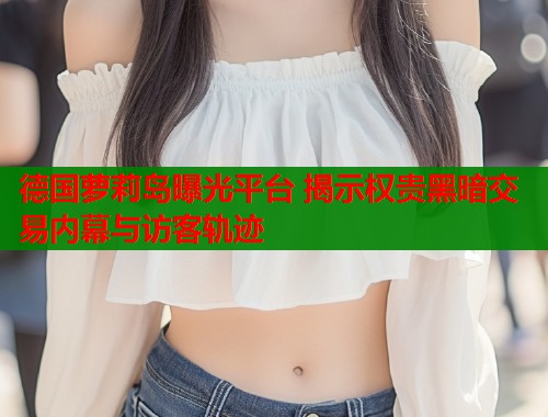德国萝莉岛曝光平台 揭示权贵黑暗交易内幕与访客轨迹  第1张