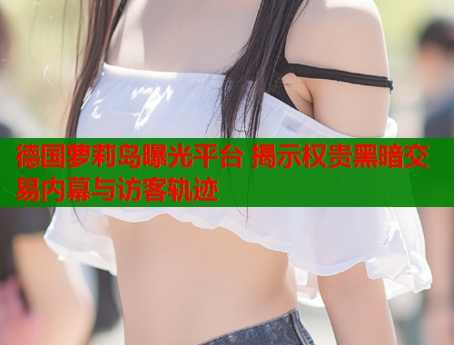 德国萝莉岛曝光平台 揭示权贵黑暗交易内幕与访客轨迹  第2张