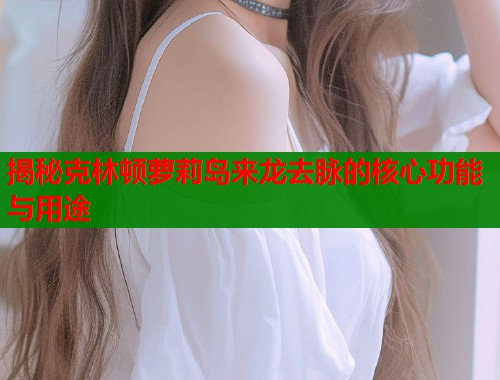 揭秘克林顿萝莉岛来龙去脉的核心功能与用途  第1张