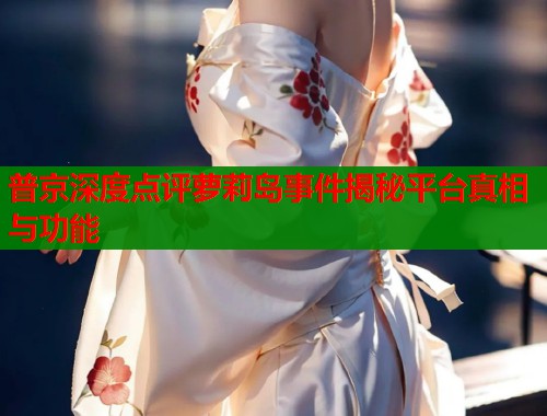 普京深度点评萝莉岛事件揭秘平台真相与功能  第1张