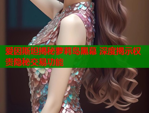 爱因斯坦揭秘萝莉岛黑幕 深度揭示权贵隐秘交易功能  第1张