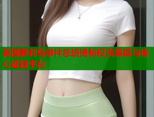 美国萝莉岛事件总统揭秘权贵黑幕与核心证据平台  第1张