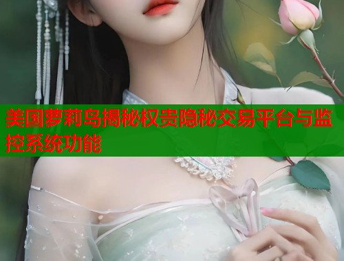 美国萝莉岛揭秘权贵隐秘交易平台与监控系统功能  第2张