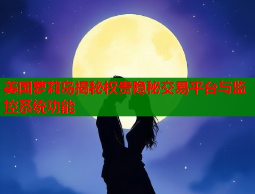 美国萝莉岛揭秘权贵隐秘交易平台与监控系统功能  第1张