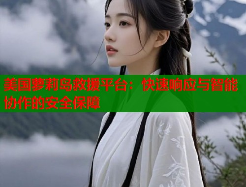美国萝莉岛救援平台：快速响应与智能协作的安全保障  第1张