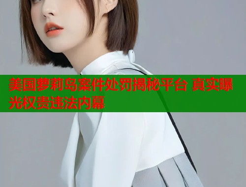 美国萝莉岛案件处罚揭秘平台 真实曝光权贵违法内幕  第2张