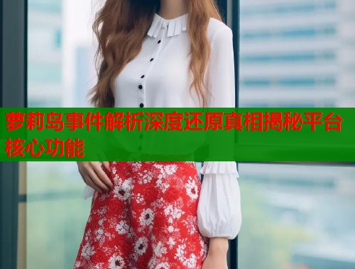 萝莉岛事件解析深度还原真相揭秘平台核心功能  第1张