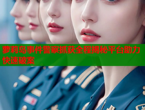 萝莉岛事件警察抓获全程揭秘平台助力快速破案  第1张