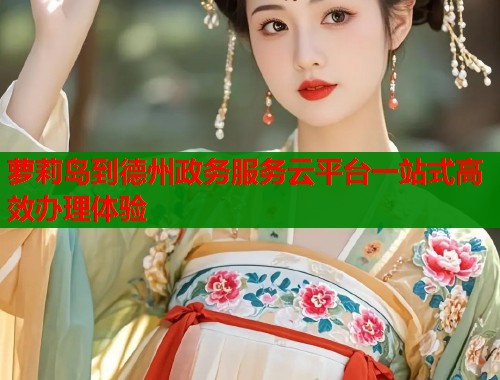 萝莉岛到德州政务服务云平台一站式高效办理体验  第1张